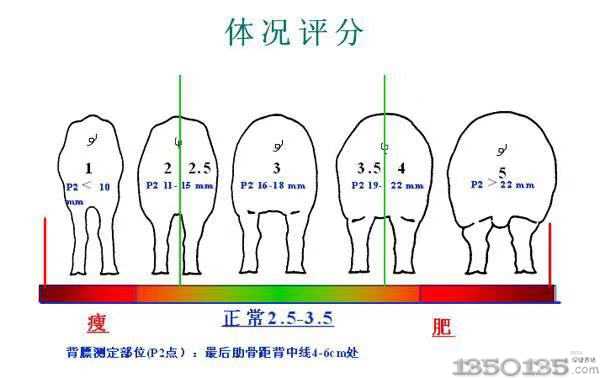 ׌ϵNil(f)鲢(zhn)_Дأ